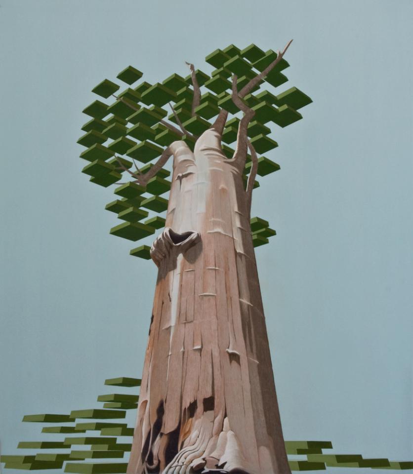 Sequoia