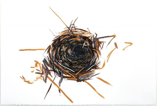 Nest study