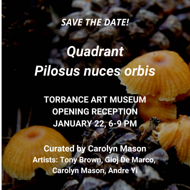 Pilosus nuces orbis